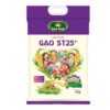 Gạo thơm Vua Gạo ST25 túi 5kg