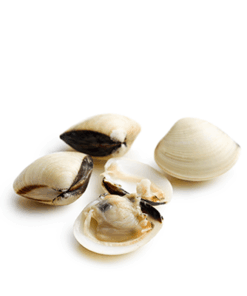 Nghêu trắng sinh thái [40-60 con] (1kg)